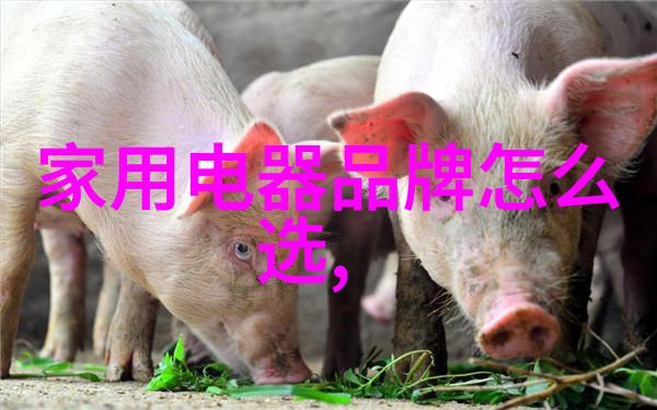 侧装浮球液位开关