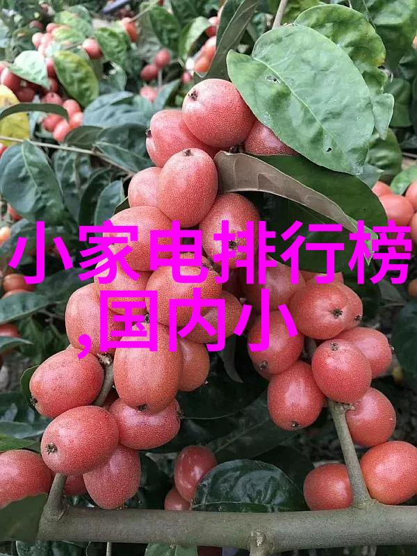 供应瑞士KSR KUEBLER液位计.